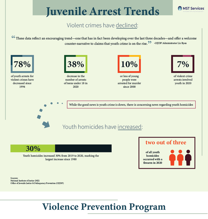 Crime Arrests Infographic