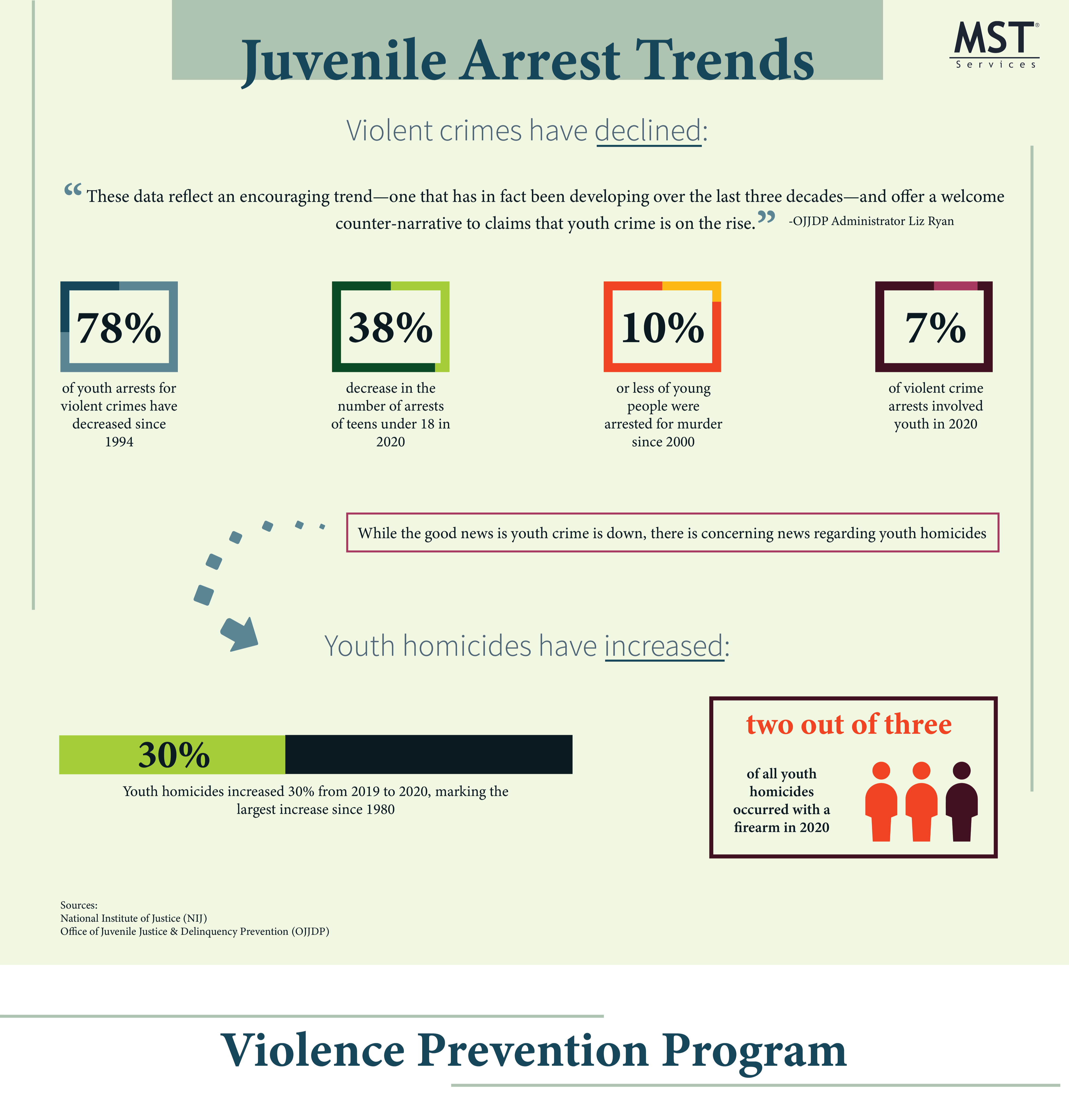 Crime Arrests Infographic