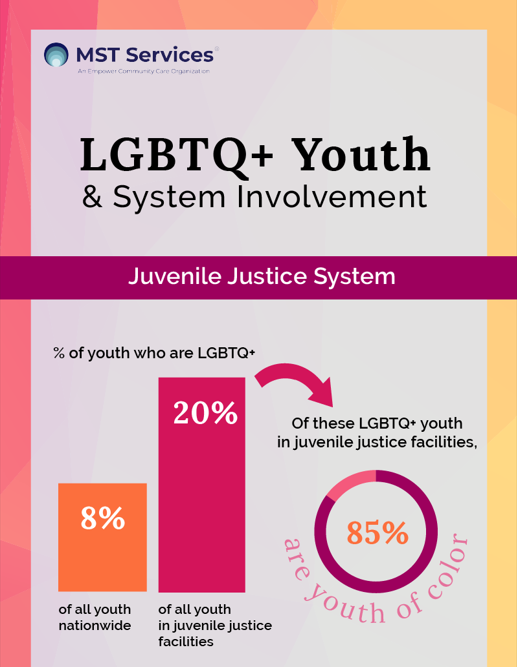 LGBTQ system involvement thumbnail