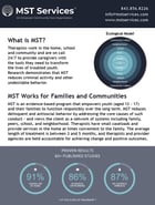Fact-Sheet-MST-Overview