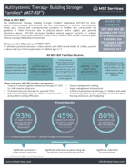 MST-BSF Fact sheet