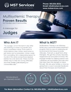 Targeted Fact Sheet Judgesthum