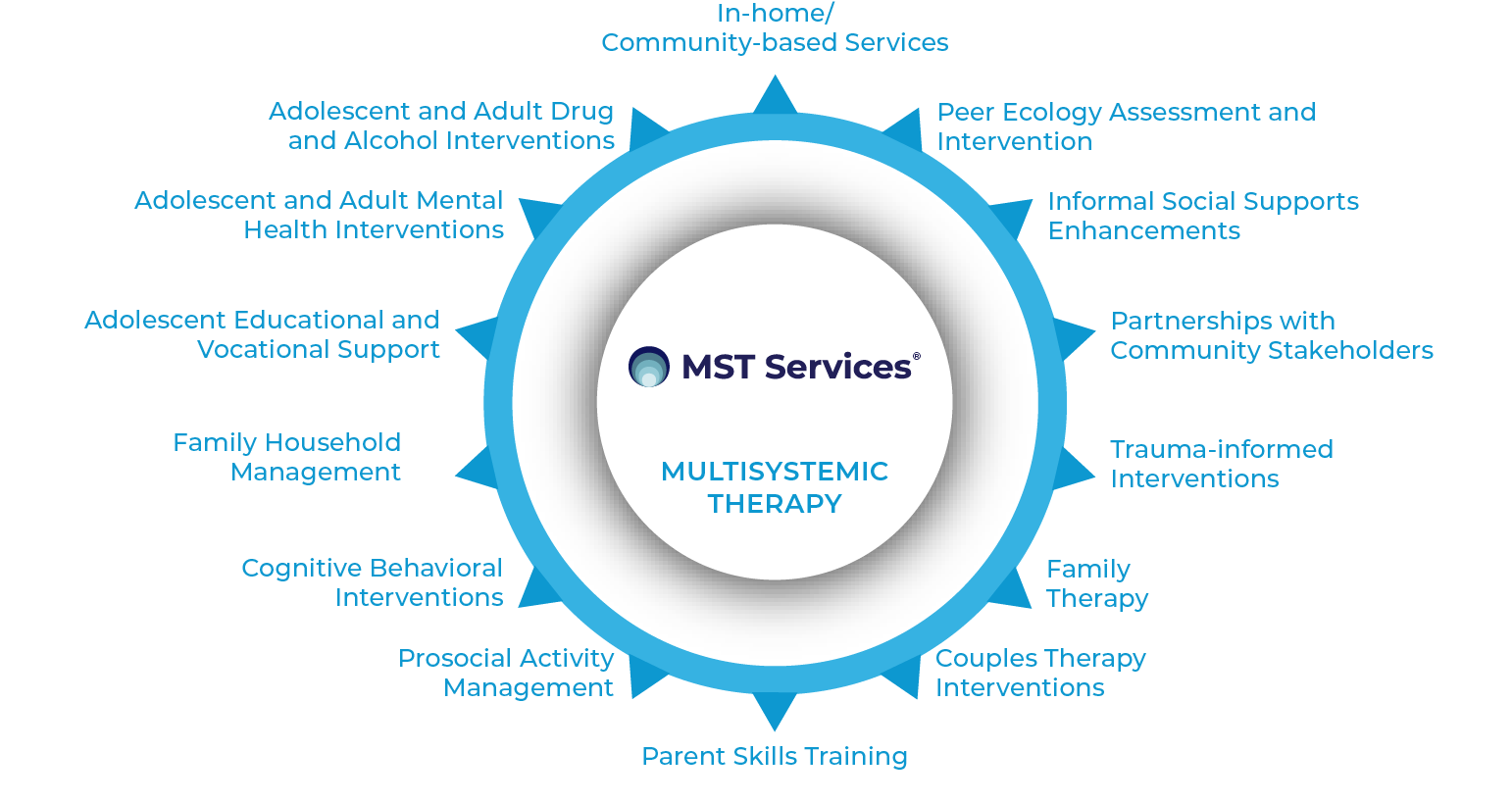 MST Services Wheel of Services