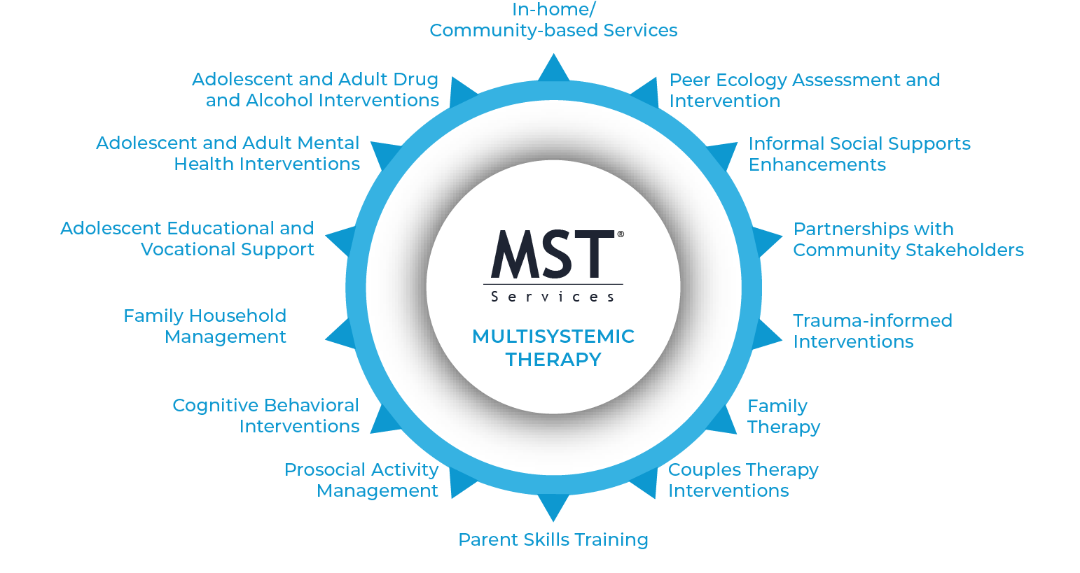 MST Services Wheel